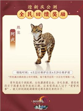 天龙八部私服宠物技能搭配攻略